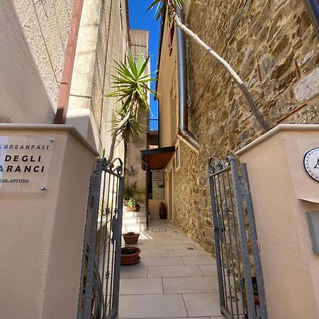 B&B Degli Aranci Palinuro Exterior foto